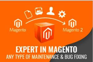 Portfolio for MAGENTO 2 EXPERT